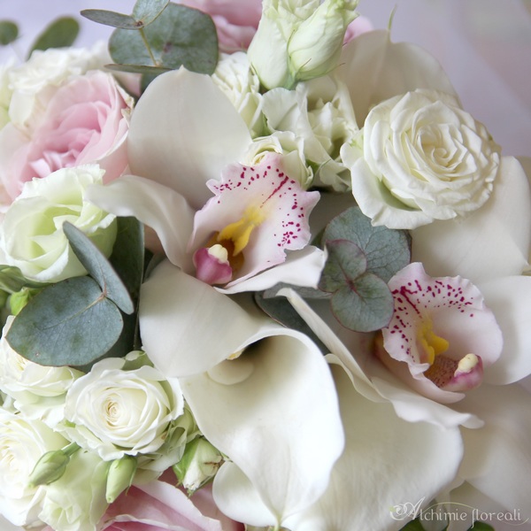 matrimonio