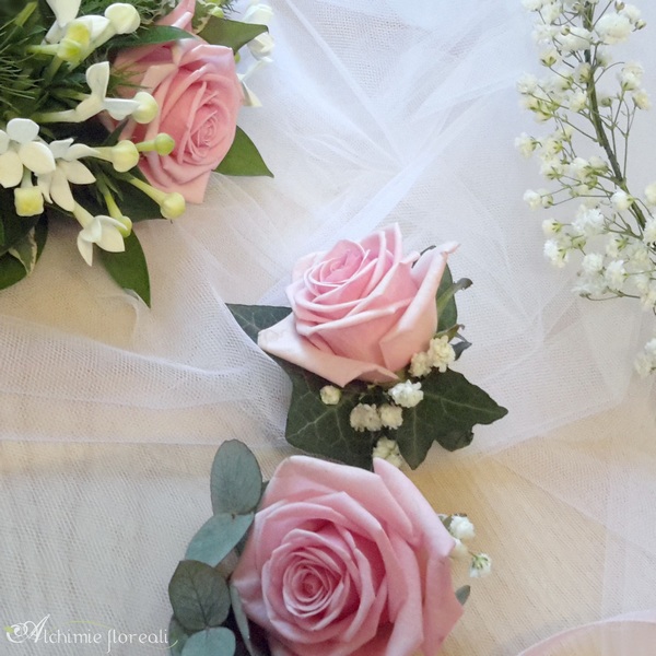 matrimonioxWP